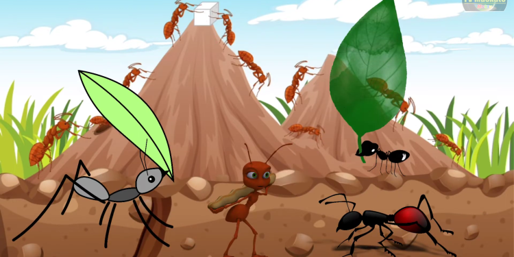 Teatrinho Infantil: Como as formigas conseguem carregar coisas muito maiores do que elas?