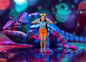 Teatrinho Infantil: O Camaleão Mágico