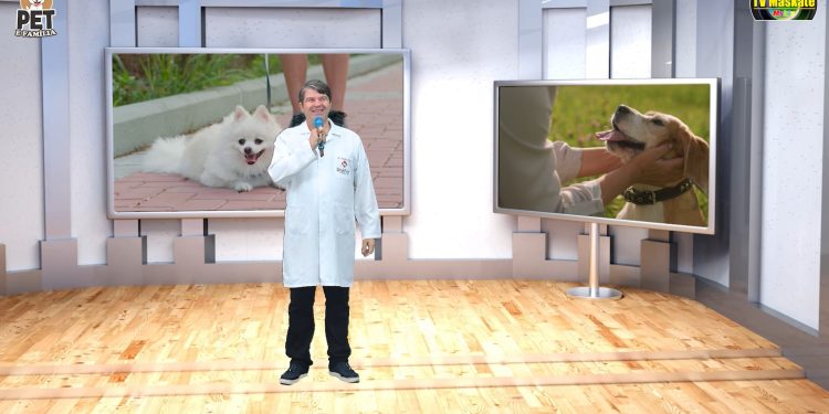 Pet é Família: denúncias, acolhimento e informação. Um programa que cuida de quem só sabe amar.