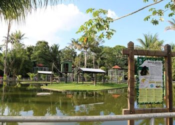 Zoológico do Cigs tem entrada gratuita neste domingo