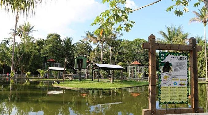 Zoológico do Cigs tem entrada gratuita neste domingo