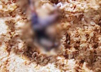 Na avenida do Turismo, homem é assassinado com mais de 10 tiros; veja