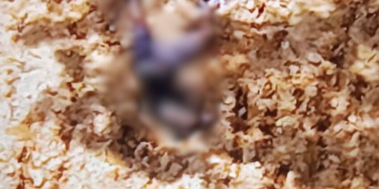 Na avenida do Turismo, homem é assassinado com mais de 10 tiros; veja