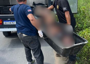 No Santa Etelvina, homem é achado morto cheio de hematomas no mato