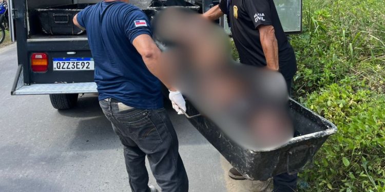 No Santa Etelvina, homem é achado morto cheio de hematomas no mato