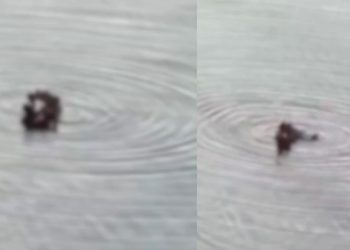 Vídeo flagra casal 'pimband0' com vontade na praia da Ponta Negra: "Tá gostoso"