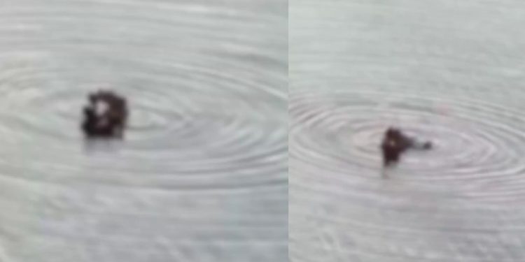 Vídeo flagra casal 'pimband0' com vontade na praia da Ponta Negra: "Tá gostoso"