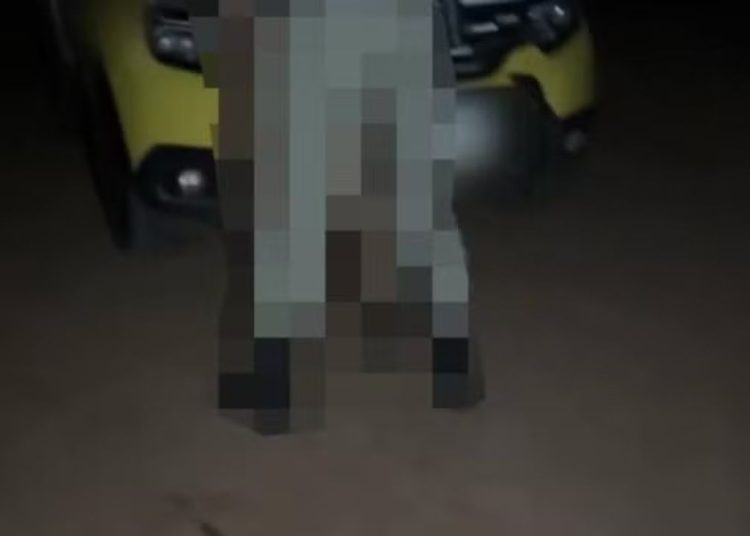 Vaza vídeo de PM 'mandando ver' em mulher no capô de viatura com corn0 filmando