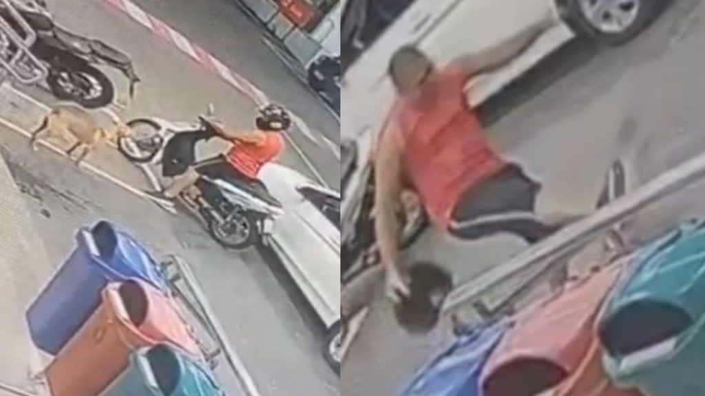 Vídeo revoltante mostra motociclista desmaiando cadela na 'bicuda' em Manaus