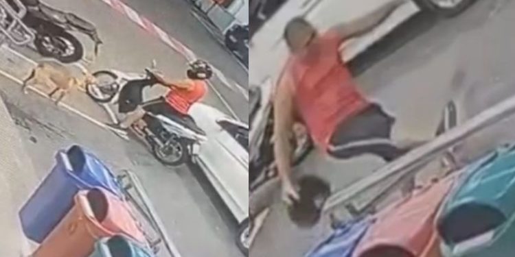 Vídeo revoltante mostra motociclista desmaiando cadela na 'bicuda' em Manaus