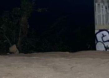 Morre afogado jovem que pulou no rio com os amigos perto da ponte em Manaus