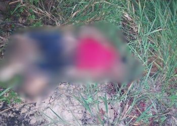 Amarrado, torturado e morto: grupo de oração acha homem no meio do mato no Nova cidade