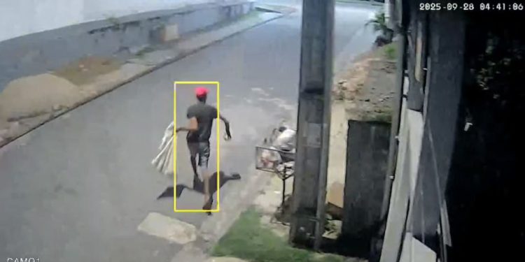 Homem do saco aparece em vídeo chocante furtando hidrômetro no bairro Flores