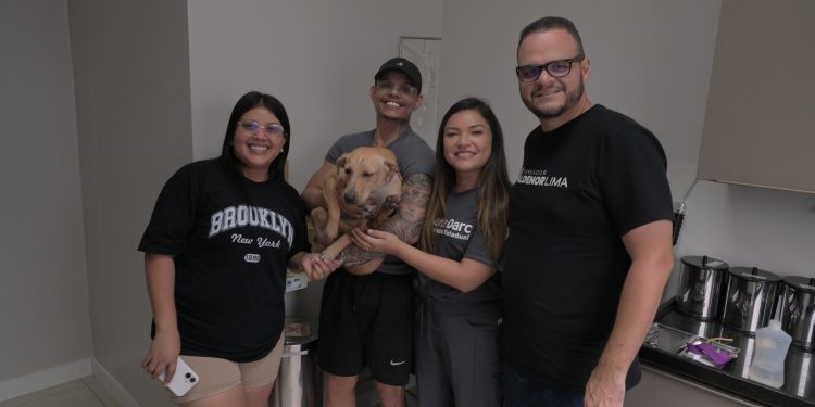 Independência não é abandono! Cuide do seu pet