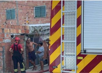 Incêndio – Morre cachorro que ficou preso em casa; família teve muito  prejuízo