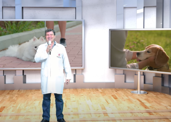 Programa Pet é Família com Prof. Francklyn – 25.09.2025