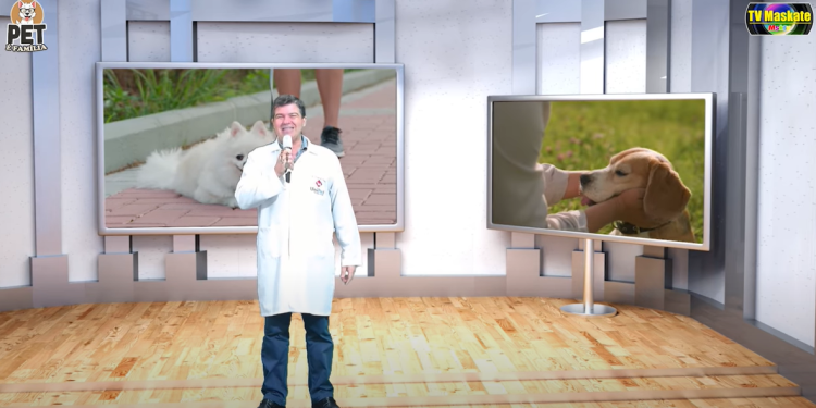 Programa Pet é Família com Prof. Francklyn – 25.09.2025