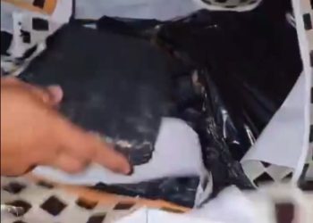 Esconderijo no Tarumã é descoberto com drogas avaliadas em mais de R$ 7 milhões