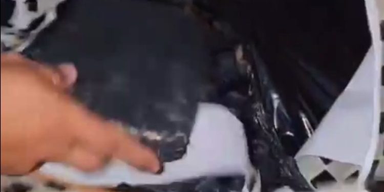 Esconderijo no Tarumã é descoberto com drogas avaliadas em mais de R$ 7 milhões