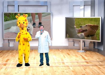 Tudo o que você precisa saber para garantir a saúde do seu pet, no “Pet é Família”