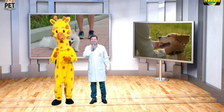 Tudo o que você precisa saber para garantir a saúde do seu pet, no “Pet é Família”