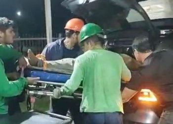 Curva fatal – Caminhoneiro morre após ser esmagado por carga de madeira