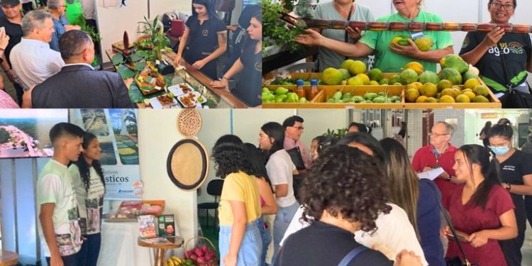 A exemplo da primeira edição realizada em 2023, a iniciativa proporcionará um ambiente de interação entre produtores, investidores, compradores e instituições de apoio como forma de contribuir para o fortalecimento de diversas cadeias produtivas da região (Fotomontagem: colaboração de Emilly Souza/Suframa - Fotos: Divulgação/Suframa)