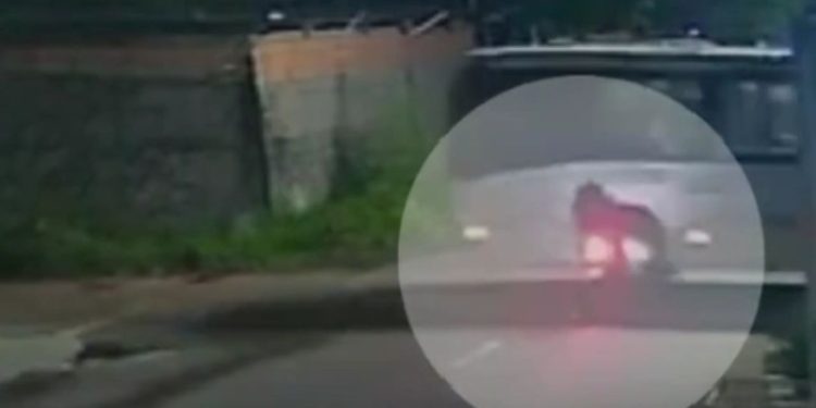 Câmera registra colisão violenta entre entregador e ônibus no Parque 10