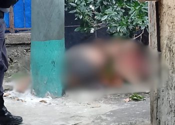 Pauladas e pedradas: suposto 'Jack' é espancado até a morte no Japiim; veja