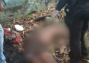 Após subir em árvore para pegar manga, homem despenca e morre em Manaus