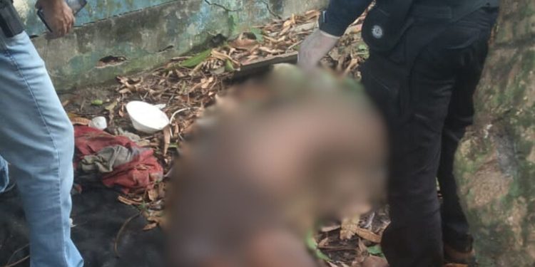 Após subir em árvore para pegar manga, homem despenca e morre em Manaus