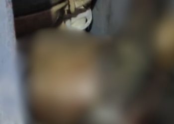 Vizinhos sentem cheiro forte e acham idoso morto em decomposição no Alvorada