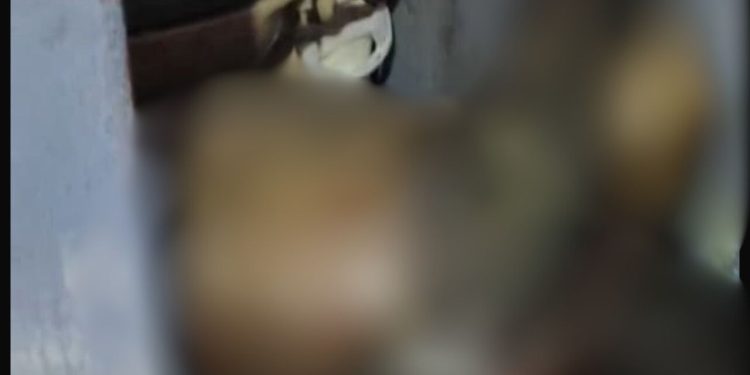 Vizinhos sentem cheiro forte e acham idoso morto em decomposição no Alvorada