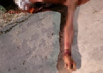 Sangrou até morrer após pegar facadas nas costas