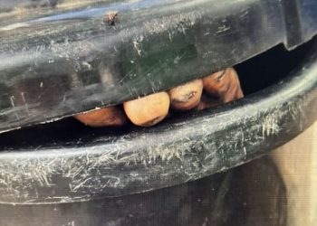 CENTRO DE MANAUS –  Esquartejado e jogado dentro de lixeira