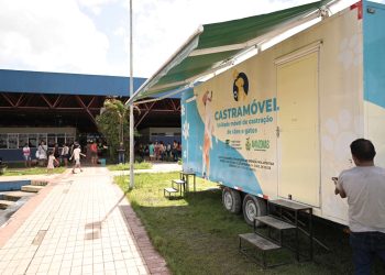 Castração e vacinação gratuita para cães e gatos na Zona Norte