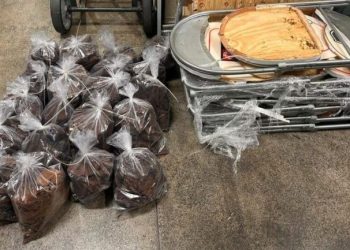 Drogas avaliadas em R$ 19,5 milhões foram achadas em mansão na Ponta Negra