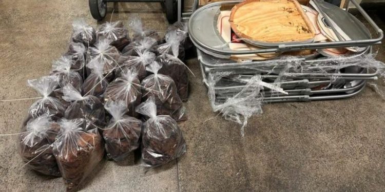 Drogas avaliadas em R$ 19,5 milhões foram achadas em mansão na Ponta Negra