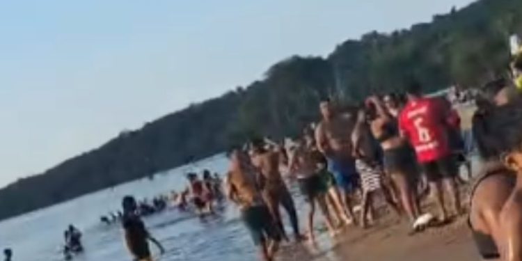 Vídeo mostra ataque de piranhas e banhistas feridos. VEJA