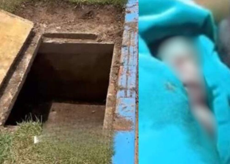 Recém-nascido de amazonense que chorou em seu velório não resiste e morre
