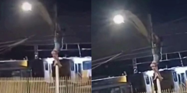 Vídeo mostra ‘zé droguinha’ furtando fios de porte a ponto de morrer perto do T5