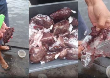 “Papel higiênico”: Manauara alerta sobre açaí vendido com papel no Centro; VÍDEO