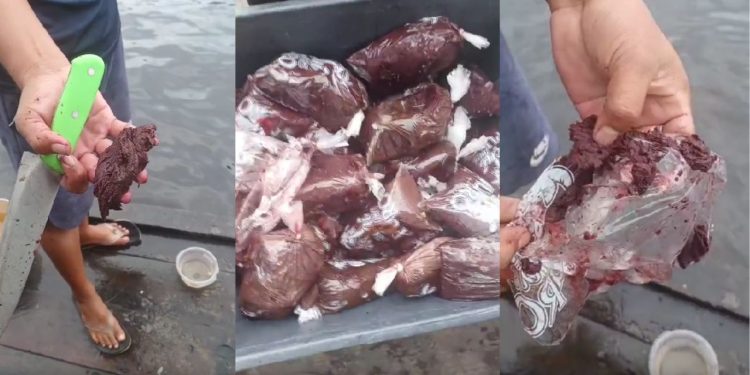 “Papel higiênico”: Manauara alerta sobre açaí vendido com papel no Centro; VÍDEO