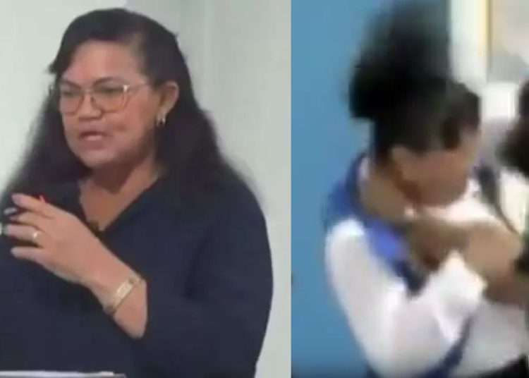 Vídeo: Vereadora que defendeu agressão a mulher já trocou socos com colega em 2012