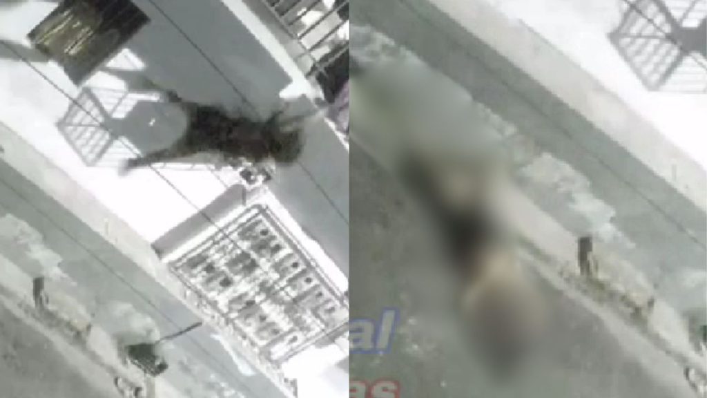 Vídeo mostra mulher caindo de apartamento e dando de 'cara no chão' em Manaus