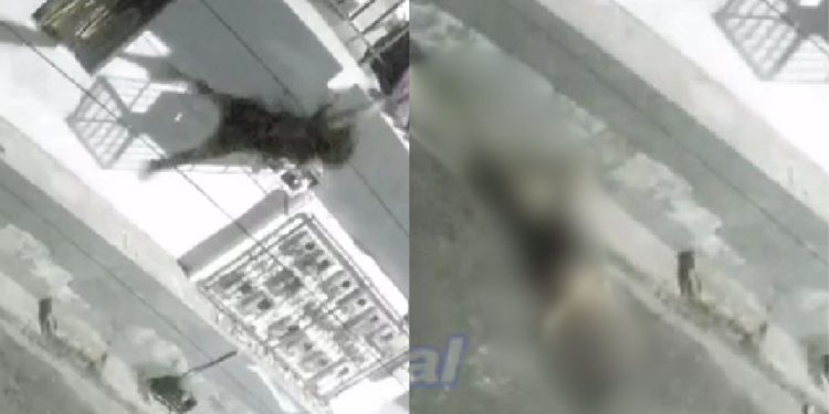 Vídeo mostra mulher caindo de apartamento e dando de 'cara no chão' em Manaus