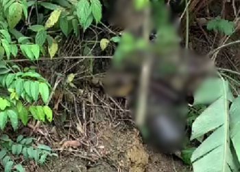 Veja: Cadáver de homem é achado jogado em barranco na BR-174