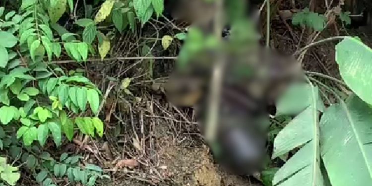 Veja: Cadáver de homem é achado jogado em barranco na BR-174