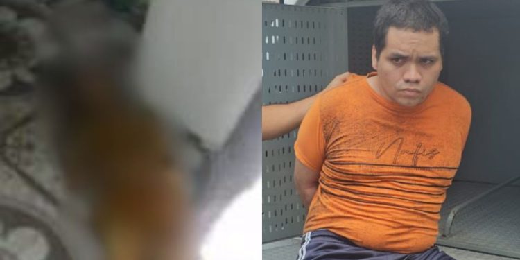 Briga entre casal termina em morte na zona norte de Manaus; veja