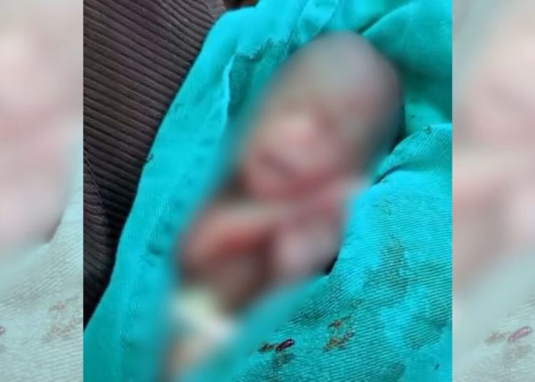 Milagre? Bebê de amazonense dado como morto é retirado do próprio velório após chorar